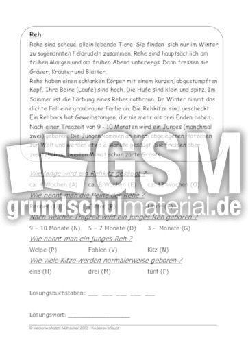 Reh.pdf